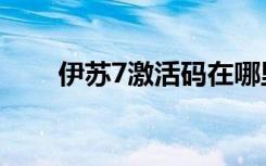 伊苏7激活码在哪里（伊苏7激活码）
