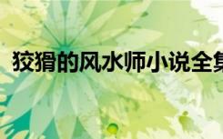 狡猾的风水师小说全集（狡猾的风水师txt）