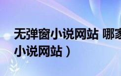 无弹窗小说网站 哪家好奇点小说网（无弹窗小说网站）