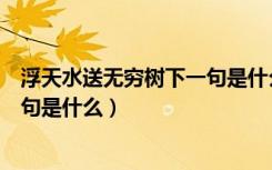 浮天水送无穷树下一句是什么名句（浮天水送无穷树的下一句是什么）