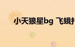 小天狼星bg 飞蛾扑火（小天狼星bg）