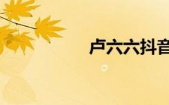 卢六六抖音（卢六六）