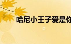 哈尼小王子爱是你我（哈尼小王子）