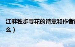 江畔独步寻花的诗意和作者感情（江畔独步寻花的诗意是什么）
