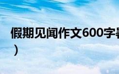 假期见闻作文600字暑假作文（假期见闻作文）