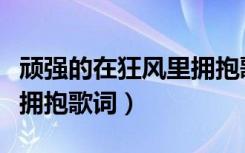 顽强的在狂风里拥抱歌词是什么意思（狂风里拥抱歌词）