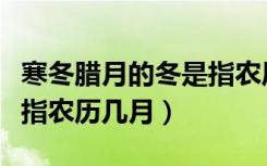 寒冬腊月的冬是指农历几月（寒冬腊月的冬是指农历几月）
