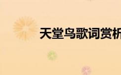 天堂鸟歌词赏析（天堂鸟歌词）