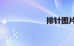 排针图片（排针）