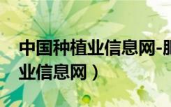 中国种植业信息网-肥料登记查询（中国种植业信息网）