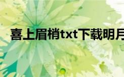 喜上眉梢txt下载明月听风（喜上眉梢txt）