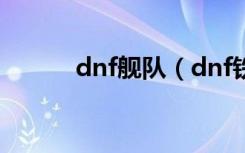 dnf舰队（dnf铁鳞海贼团舰长）