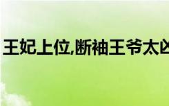 王妃上位,断袖王爷太凶残（断袖王爷警花妃）