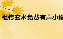 祖传玄术免费有声小说（传古奇术有声小说）