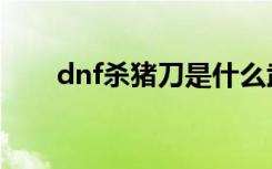 dnf杀猪刀是什么武器（dnf杀猪刀）