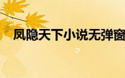 凤隐天下小说无弹窗（凤隐天下txt新浪）