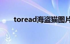 toread海盗猫图片（toread海盗猫）
