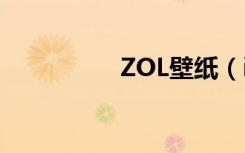 ZOL壁纸（it之家壁纸）