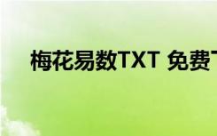 梅花易数TXT 免费下载（梅花易数txt）