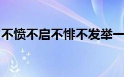 不愤不启不悱不发举一隅不以三隅反则不复也