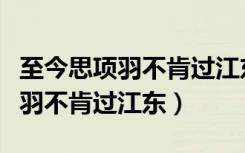 至今思项羽不肯过江东表达的意思（至今思项羽不肯过江东）
