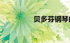 贝多芬钢琴曲（贝多芬）