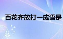 百花齐放打一成语是（百花齐放打一成语）