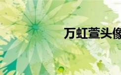 万虹萱头像（万虹萱）
