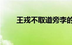 王戎不取道旁李的释文讲解（王戎）