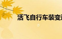 活飞自行车装变速（活飞自行车）