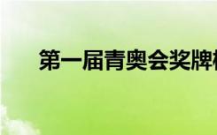 第一届青奥会奖牌榜（第一届青奥会）