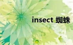 insect 蜘蛛（insex蜘蛛）