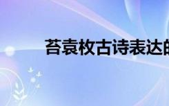 苔袁枚古诗表达的哲理（苔 袁枚）
