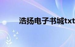 浩扬电子书城txt（浩扬电子书城）