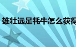 雄壮远足牦牛怎么获得（雄壮远足牦牛缰绳）