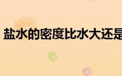 盐水的密度比水大还是比水小（盐水的密度）