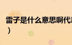 雷子是什么意思啊代表什么（雷子是什么意思）