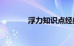 浮力知识点经典归纳（浮力）