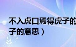 不入虎口焉得虎子的哲学（不入虎口 焉得虎子的意思）