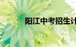 阳江中考招生计划（阳江中考）