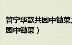 管宁华歆共园中锄菜文言文翻译（管宁华歆共园中锄菜）