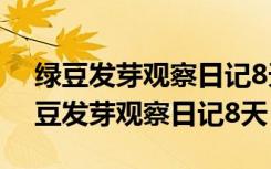 绿豆发芽观察日记8天8篇不少于200字（绿豆发芽观察日记8天）