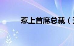 惹上首席总裁（天皇总裁的私宠）