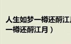 人生如梦一樽还酹江月表达的意思（人生如梦一樽还酹江月）