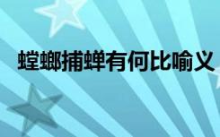 螳螂捕蝉有何比喻义（螳螂捕蝉用来比喻）