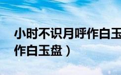 小时不识月呼作白玉盘古诗（小时不识月 呼作白玉盘）