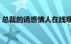 总裁的诱惑情人在线观看（总裁的诱惑情人）
