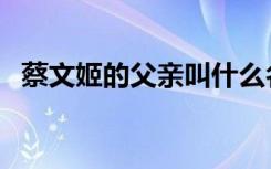 蔡文姬的父亲叫什么名字（蔡文姬的父亲）