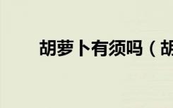 胡萝卜有须吗（胡萝卜须什么意思）