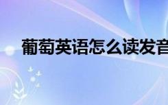葡萄英语怎么读发音（葡萄英语怎么读）
